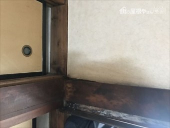 雨漏れ箇所