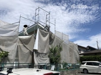 強風養生