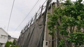 台風養生
