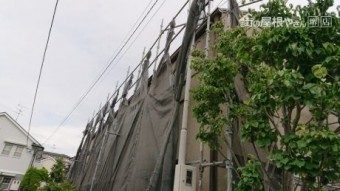 台風養生