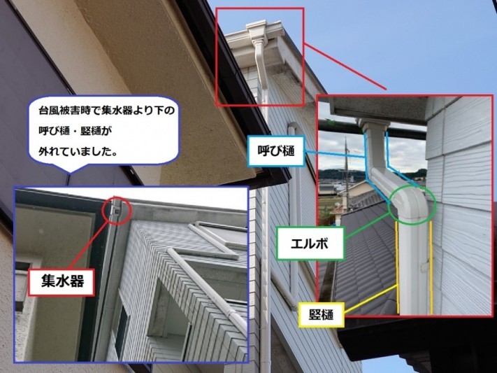 0b3aebd7e9fe9a6a072fc3e57ce2f880-columns1