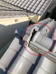 鬼瓦ズレと冠瓦の不具合状況