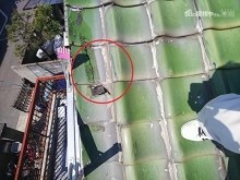 ケラバ瓦割れ・補修跡