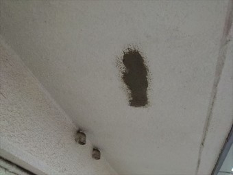 軒天 モルタル補修 露筋