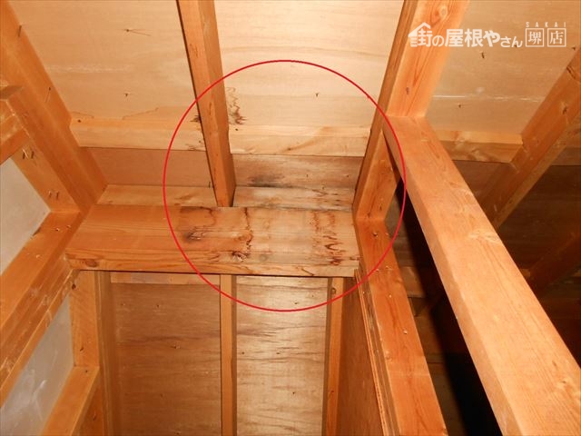 天井裏雨漏り コラム