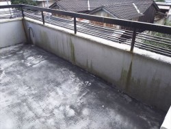 テラス雨漏り改修前