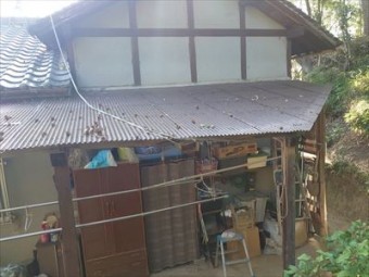 波板 上全景