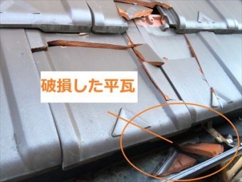 飛散した平瓦