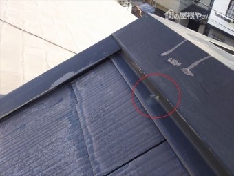 屋根棟板釘抜け コラム