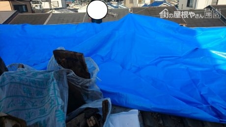 屋根養生