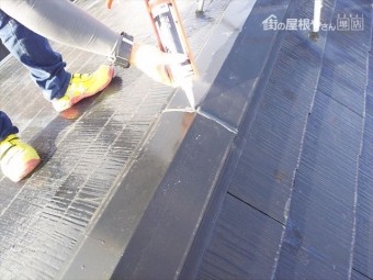 屋根その他棟板点検補修