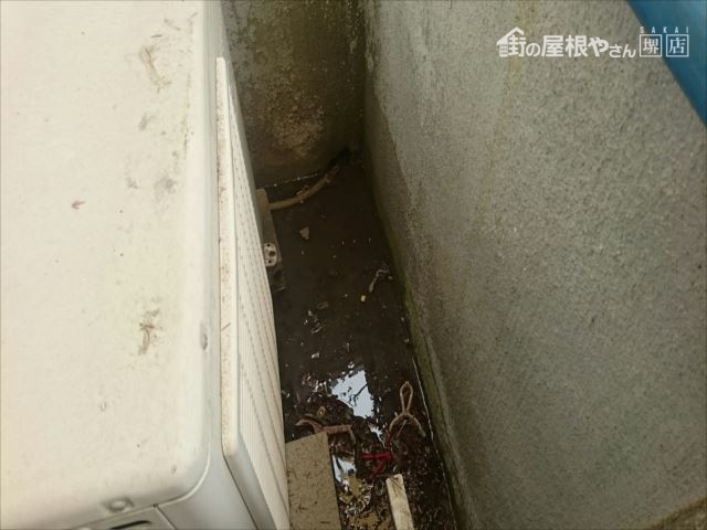 散水調査 コラム③