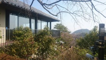 足場撤去後