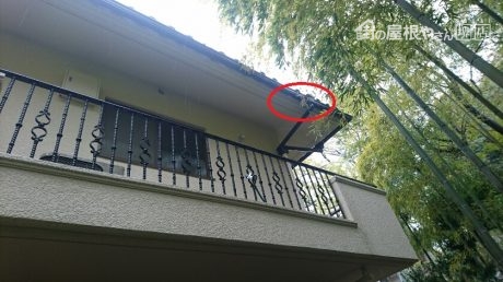 軒先瓦2枚破損・樋集水桝
