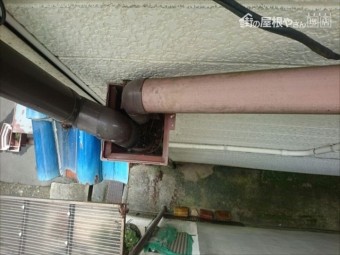散水調査 コラム④