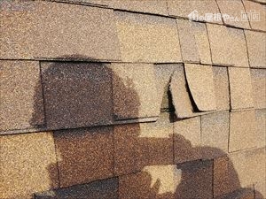 屋根 処置 改修前