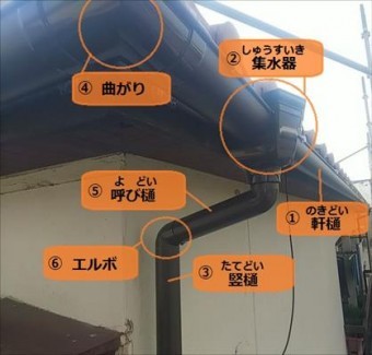 雨樋 各所呼び名