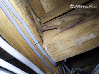 屋根裏調査 金物