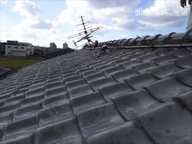 大屋根