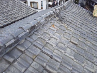 大屋根調査 瓦