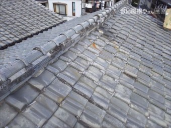 大屋根調査 瓦