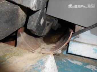 樋 動物対策