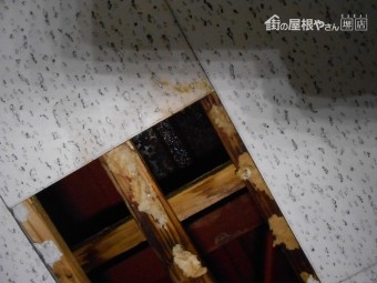 天井裏 雨漏れ様子
