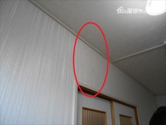 雨漏り 壁