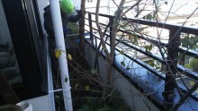 バルコニー植栽撤去状況