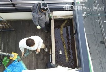 樋つまり根状況