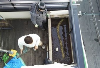 樋つまり根状況