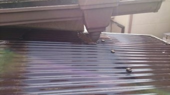 樋廻り仕舞い