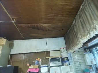 散水調査 コラム