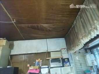 散水調査 コラム