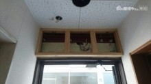 内部小壁下地組