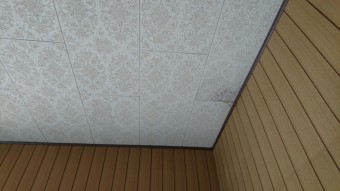 洋間天井再調査時現況