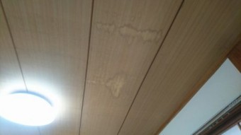 和室天井再調査時現状