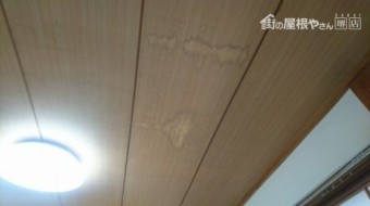 和室天井再調査時現状