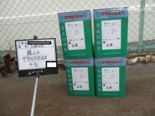 錆止め材