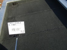 屋上 防水現況