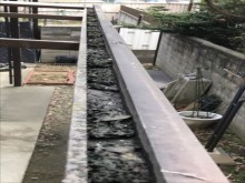 波板 フレーム 樋