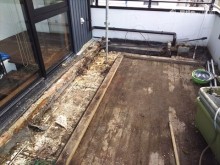 バルコニー植栽撤去状況