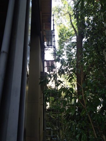 軒天板落下めくれ部板張り完了