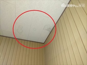 洋室 雨漏れ