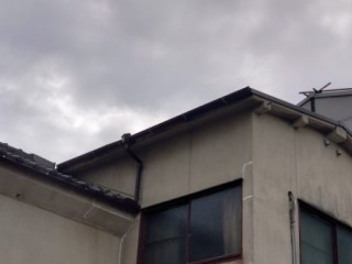 軒・竪樋完了後