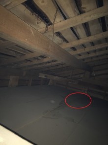 屋根裏現状