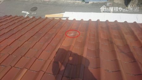 平瓦割れ部分