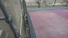 エコグラーニ貼り出し