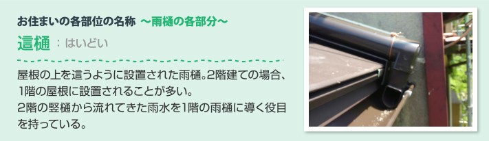 雨樋の各部分 這樋:屋根の上を這うように設置された雨樋