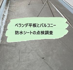 堺市東区にてベランダ波板飛散・バルコニー防水の点検調査
